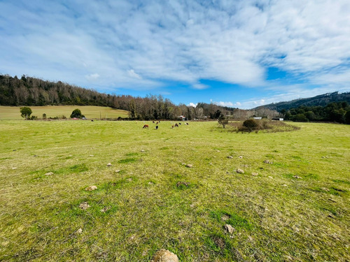 Se Vende Proyecto Aprobado Por Sag Panguipulli Los Lagos