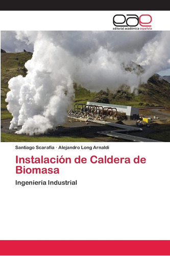 Libro: Instalación Caldera Biomasa: Ingeniería Industr