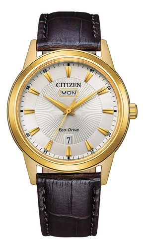 Reloj Citizen Hombre Aw0102-13a Premium Eco-drive