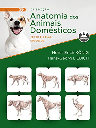 Libro Anatomia Dos Animais Domesticos 07ed 21 De Konig Horst