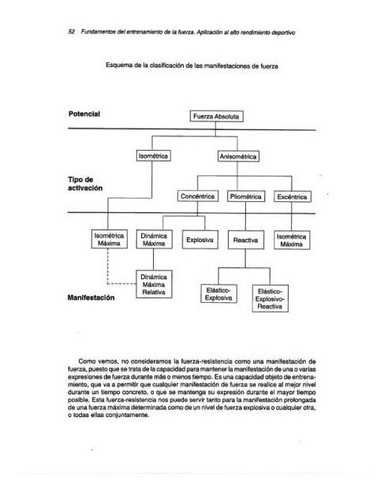 Fundamentos Del Entrenamiento De La Fuerza