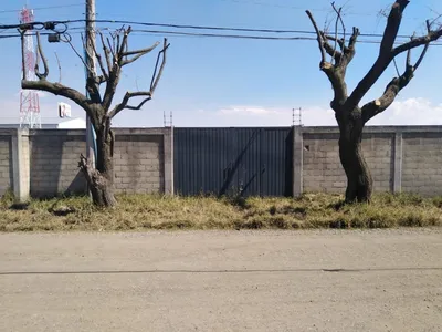 Terreno en renta