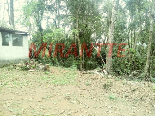 Imagem 4 de 8 de Terreno Em Serra Da Cantareira - São Paulo, Sp - 328727