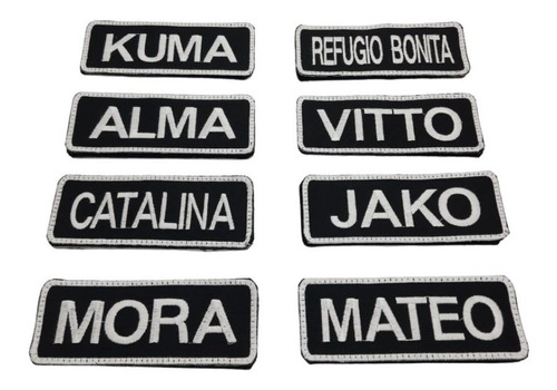 Parche  Bordado Personalizado Nombre De Tu Mascota 13x5, 2 U