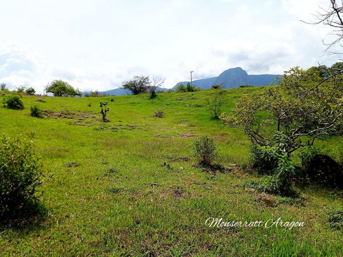 Increíble Terreno Con Manantial