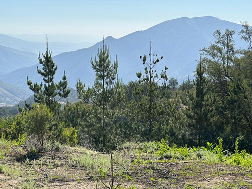 Parcelas En El Cerro El Roble, Olmué; Cerquita Del Cielo