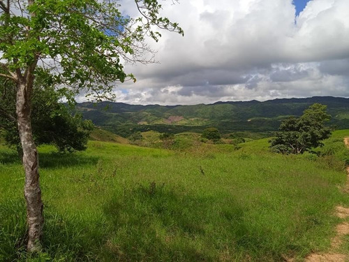 Imagen 11 de 14 de Venta Finca Estado Lara, Municipio Crespo