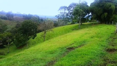 Piendamó, 23 Plazas Ganaderas Y/o Agrícolas.