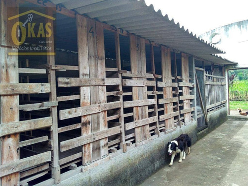 Imagem 16 de 30 de Chácara Com 3 Dormitórios À Venda, 30000 M² Por R$ 2.000.000,00 - Vale Das Serras - Suzano/sp - Ch0033