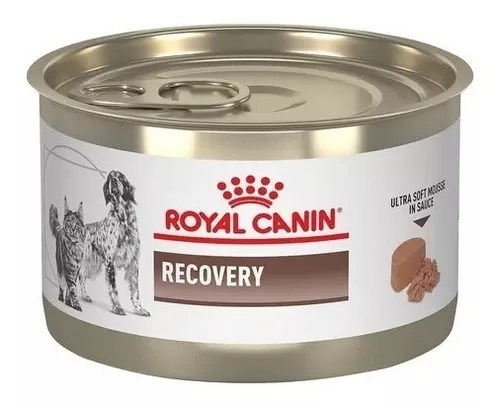 Royal Canin Recovery Lata 195g Recuperação Para Cães E Gatos - R$ 39
