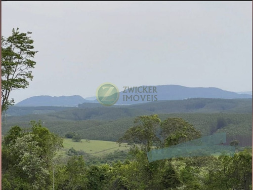 Imagem 2 de 24 de Excelente Sítio À Venda Com Ponto Comercial - Distrito De Piramboia - Anhembisp - 00038