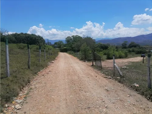 Vendo Lote En Carmen De Apicala