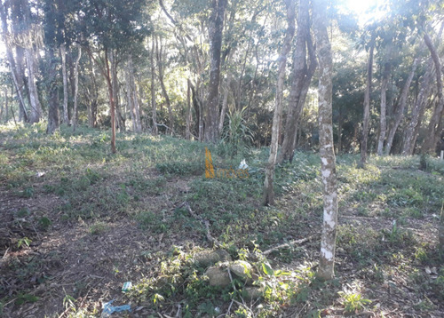 Imagem 5 de 6 de Terreno Em Centro, Piedade/sp De 10m² À Venda Por R$ 75.000,00 - Te1083255
