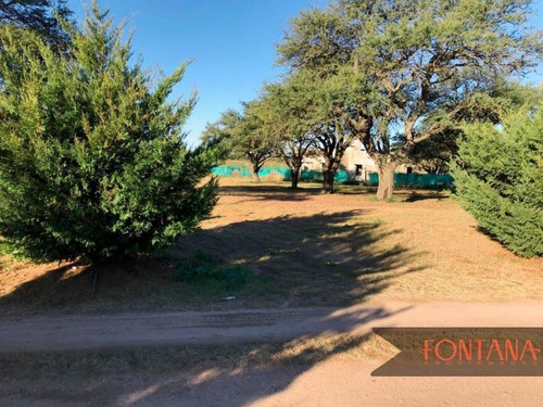 Lote | Fresnos