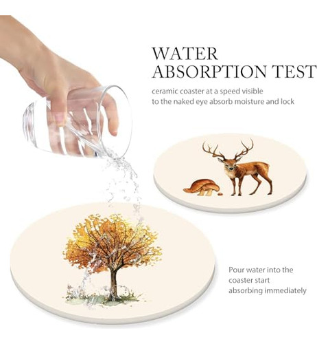 Juego De 6 Posavasos Para Absorber Bebidas, Redondos, De Cer