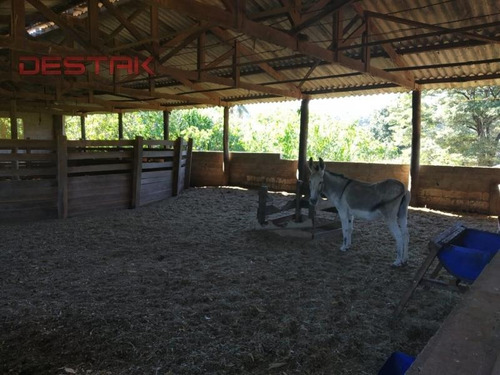 Imagem 11 de 15 de Ref.: 3948 - Sítio Em Jundiaí Para Venda - V3948