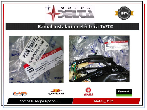 Ramal Electrico Bera Brz