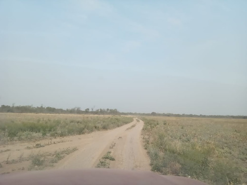 Campo En Quimili - Departamento De Moreno Santiago Del Estero - Argentina