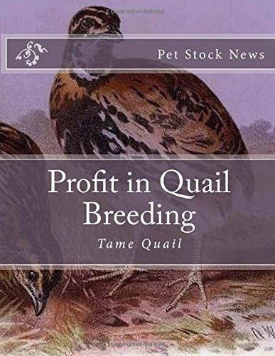 Profit In Quail Breeding Tame Quail
