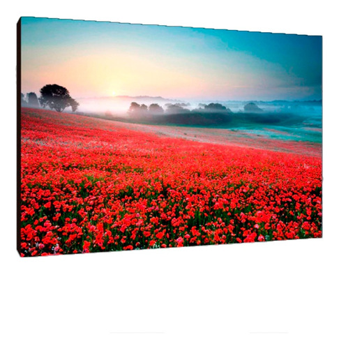 Cuadros Poster Flores Naturaleza Xl 33x48 (res (99))