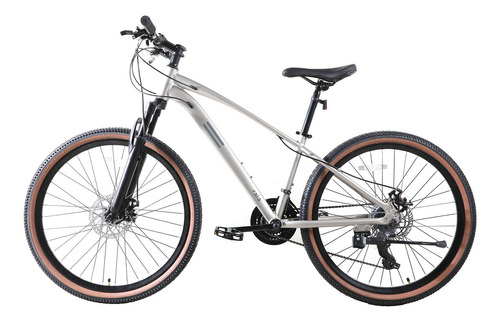 Bicicleta De Montaña Rodada 26', 24 Veloc., Raia-taen, Gris