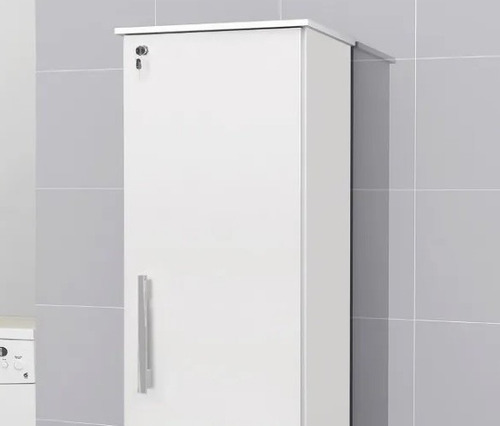 Imagem 8 de 9 de Armário Multiuso Com 1 Portas E Tranca Com Chave Organiza