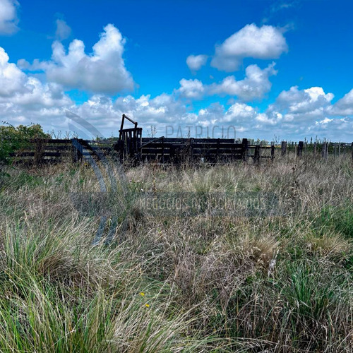 Se Vende Excelente Campo En Bolivar. 84 Hectáreas