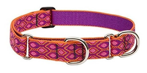 Collar Combinado Alpen Glow Para Perros Grandes.