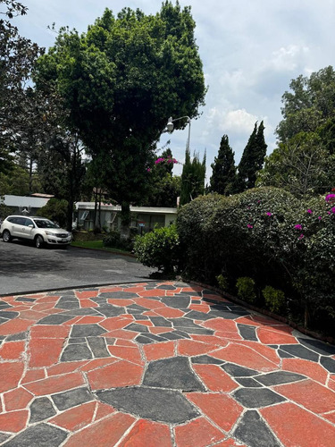 Magnifico Terreno