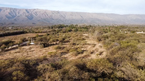 Imagen 7 de 13 de Venta De Lotes En Merlo, San Luis | Zona Algarrobo Abuelo