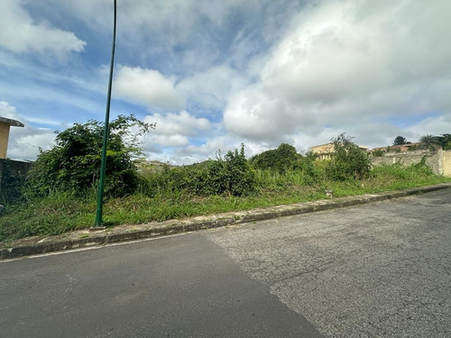 Se Vende Parcela Parcialmente Plana En Bosque De La Laguita Vi Mls #24-14479
