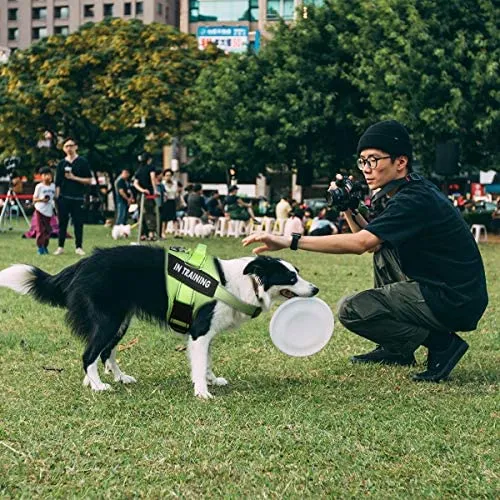 Parches Para Chaleco De Perro Para Arnés De Perro, Parches E