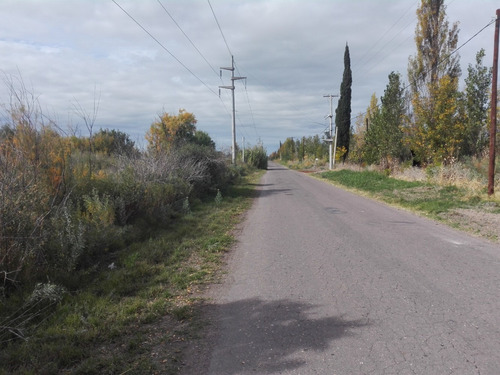 Imagen 7 de 14 de Finca 27 Hs En Gral.alvear, Pcia. De Mendoza