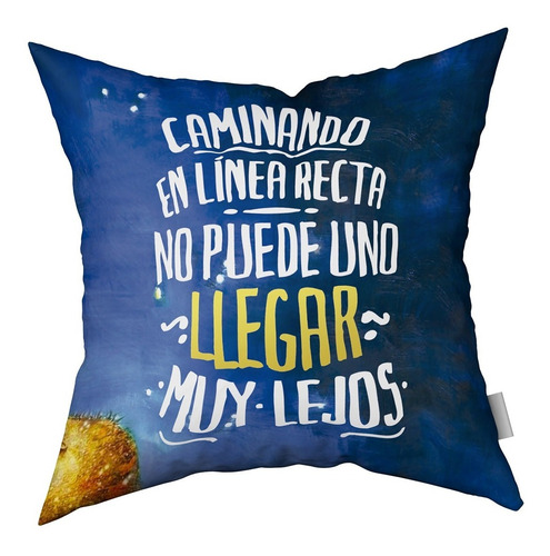 Imagen 3 de 5 de Combo Almohadones Almohadón El Principito Vellon Desmontable