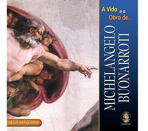 Livro A Vida E A Obra De Michelangelo Buonarroti