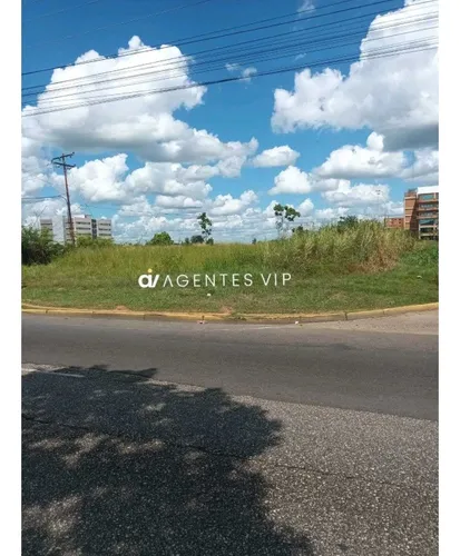 Avenida Alirio Ugarte Pelayo