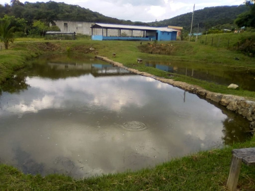 Imagem 16 de 23 de Chácara Com 2 Dormitórios À Venda, 20000 M² Por R$ 990.000,00 - Serrote - São José Dos Campos/sp - Ch0127