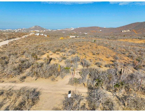 Cerritos Dreaming, Pescadero, Bcs