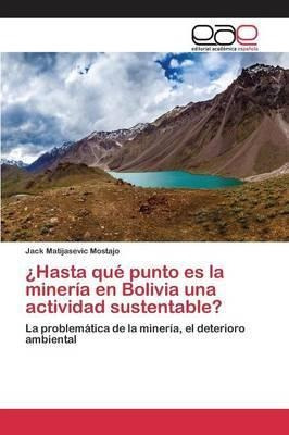 Hasta Que Punto Es La Mineria En Bolivia Una Actividad Su...