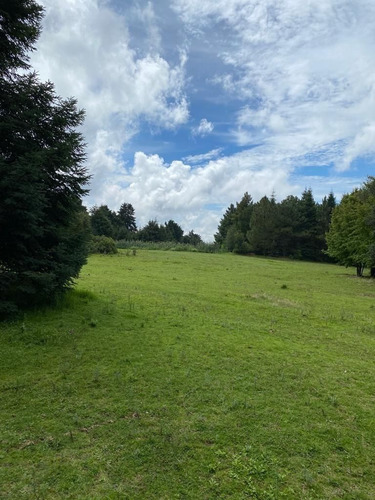 Rancho En Tres Marias