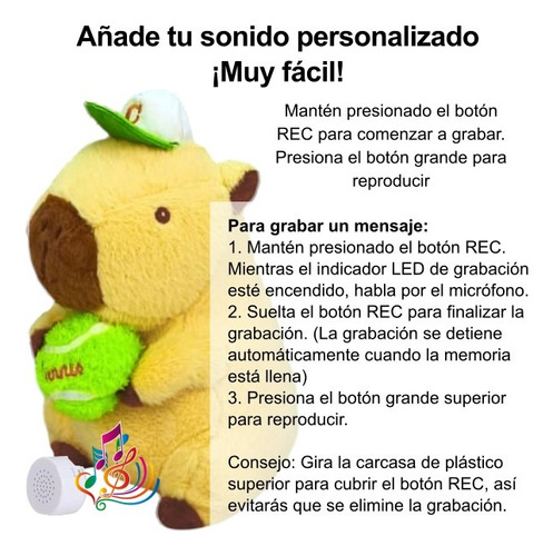 Caja Modulo De Sonido De 30 Segundos Para Peluches