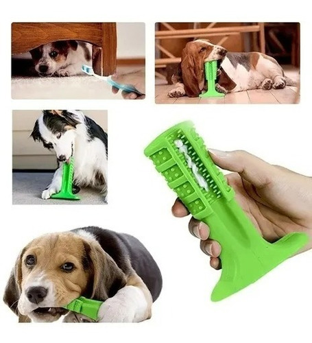 Brinquedo Mordedor Escova De Dente Cachorro Dog Pet M Medio Sabor Verde