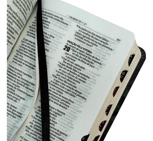 Biblia Sagrada Naa Leão Edição De Bolso Com Indice Lateral