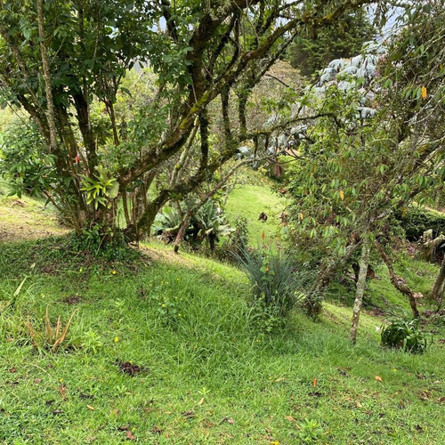 Venta Finca Campestre - Parcelacion Rancherias