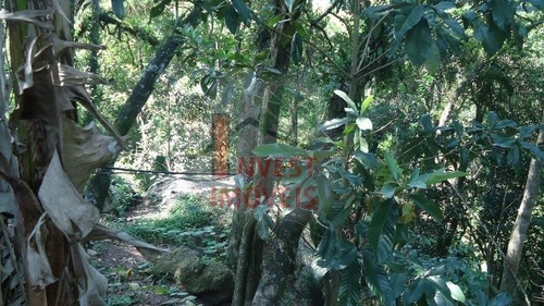 Imagem 14 de 15 de Chacara - Ref: 6933 - V-6933