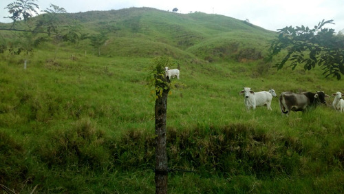 Finca Para Venta En La Esmeralda