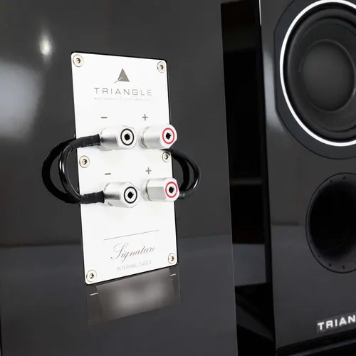 Bafles Triangle Esprit Gaia Ez Distribuidor Oficial