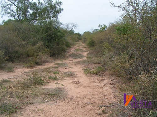 Imagen 5 de 10 de Venta Campo Pluma De Pato 700ha Salta-
