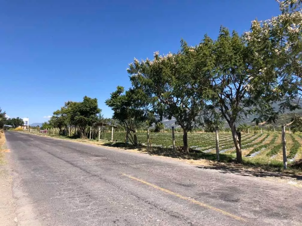 Terreno Carretera Tenancingo - Zumpahuacan Km 15