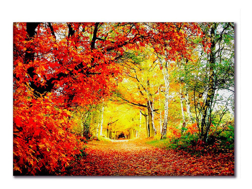 Imagem 2 de 4 de Quadro Paisagem Árvores Outono Decoração De Sala Quarto Qd1